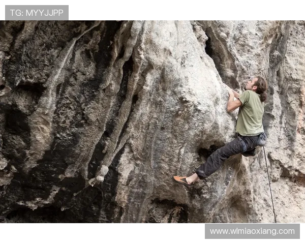 杭州攀岩队在极限运动联赛中的力量表现与技术分析